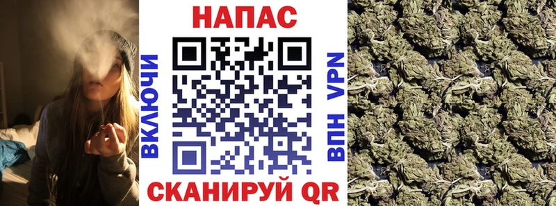 Марихуана план  Клинцы 